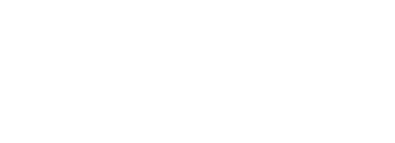 WSI